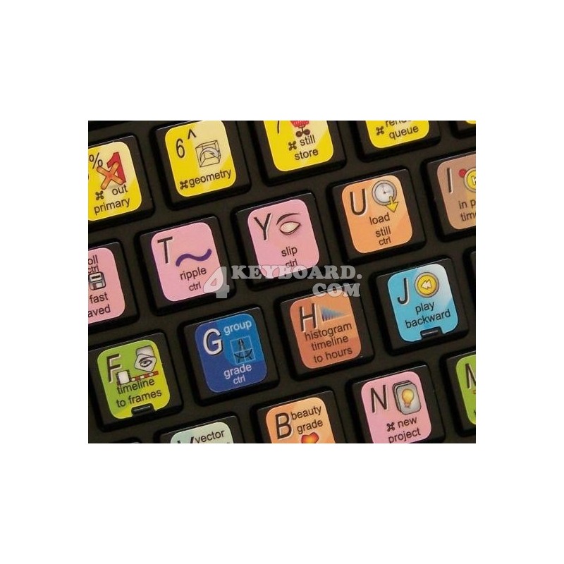 APPLE COLOR keyboard sticker APPLE COLOR keyboard sticker