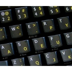 Dvorak English non-transparent keyboard stickers 11x13
