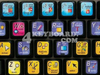 Adobe Flash keyboard stickers