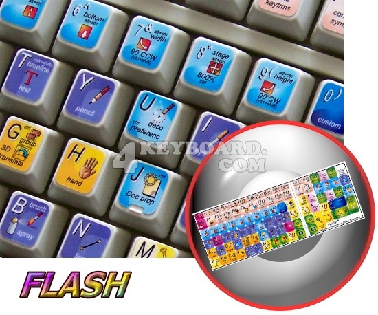 Adobe Flash keyboard sticker