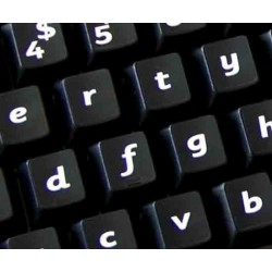 English US (Sassoon) non transparent keyboard stickers
