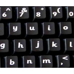 English US (Sassoon) non transparent keyboard stickers