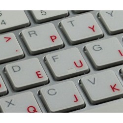 Apple Dvorak transparent keyboard sticker