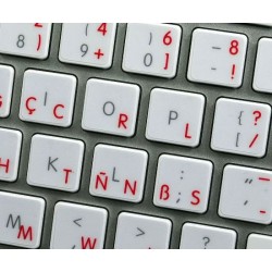 Apple Dvorak Programmer transparent keyboard sticker