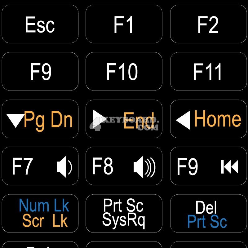 thumbnail interactive-video image 1 of Blank Transparent Shortcuts Label Decal For Keyboard Self 1 of 13