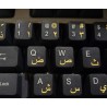 Arabic transparent keyboard stickers