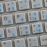 Swiss transparent keyboard  stickers