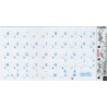 Apple French AZERTY transparent keyboard sticker