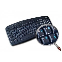 English US International transparent keyboard stickers