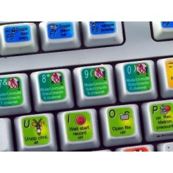 FL STUDIO keyboard sticker