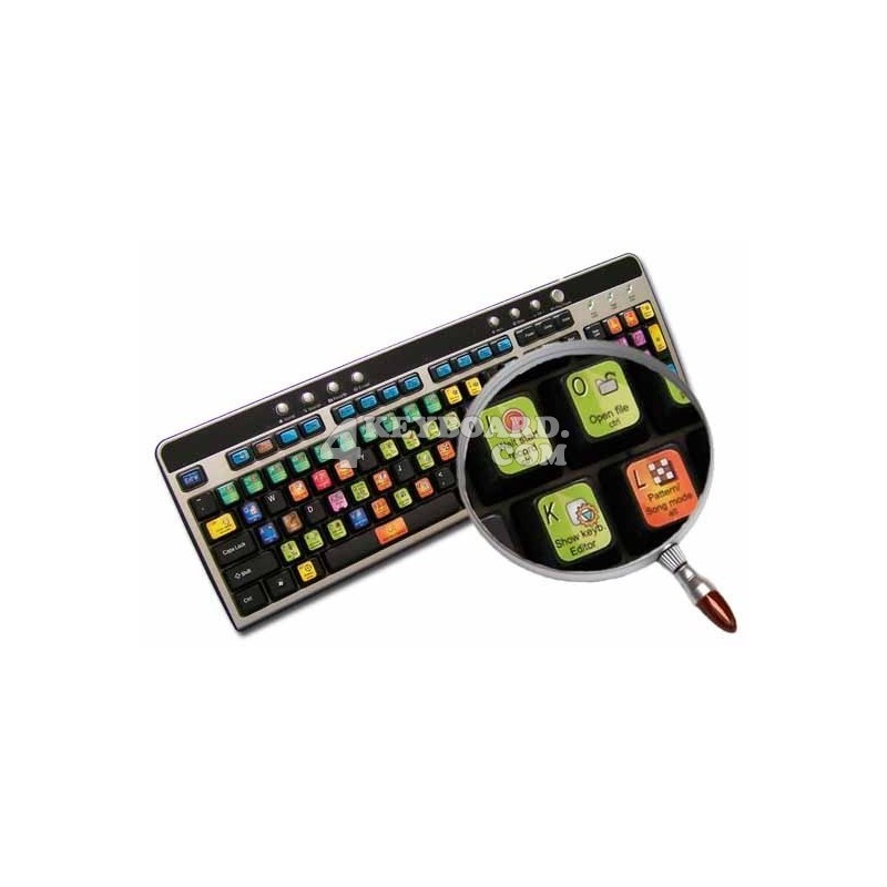 FRUITY LOOPS