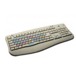 Sony Sonaps keyboard sticker