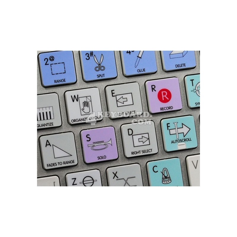 cubase nuendo cubase nuendo