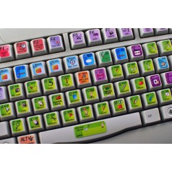 INDESIGN keyboard sticker