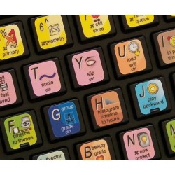 APPLE COLOR keyboard sticker