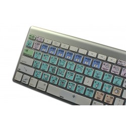 GIMP Galaxy series keyboard sticker Apple size