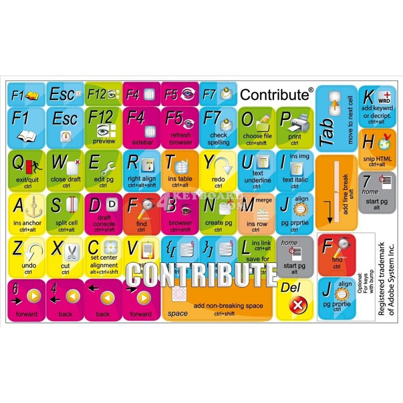 Adobe Contribute