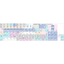 Canopus EDIUS Galaxy series keyboard sticker apple