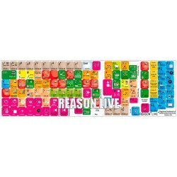 REASON keyboard sticker