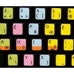 Learning French Bepo Colored Colored non transparent keyboard stickers