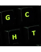 Dvorak Sticker | 4keyboard.com